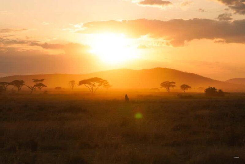5 Days Group Camping Safari - An In-Depth Look at the 5-Day Tanzania Safari