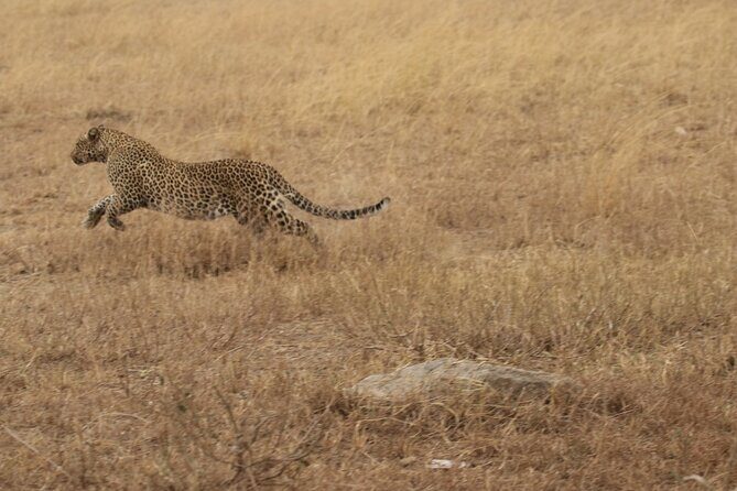 5 Days Group Camping Safari - FAQ