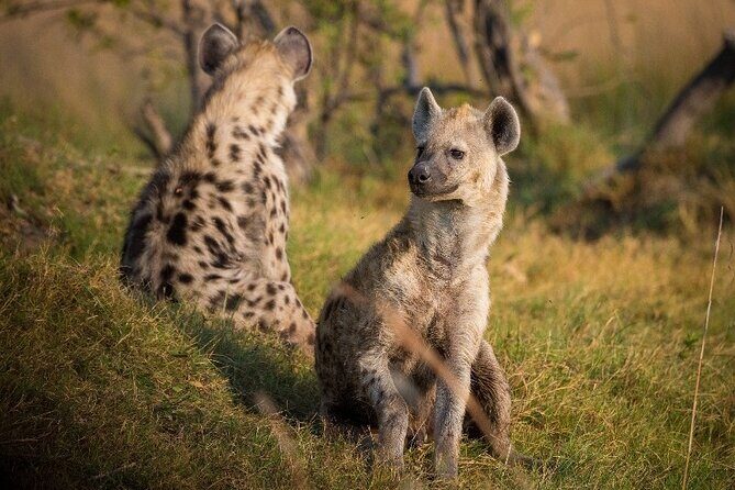 5 Days in the wild & a day hike around Materuni Waterfall. - Frequently Asked Questions