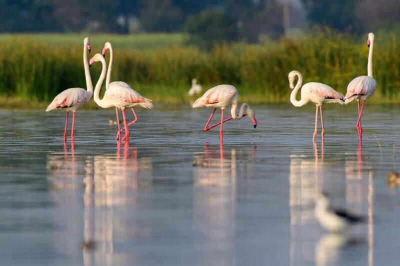 5 Days in the Wild Experience Africa - Summing Up: Is This Safari Right for You?