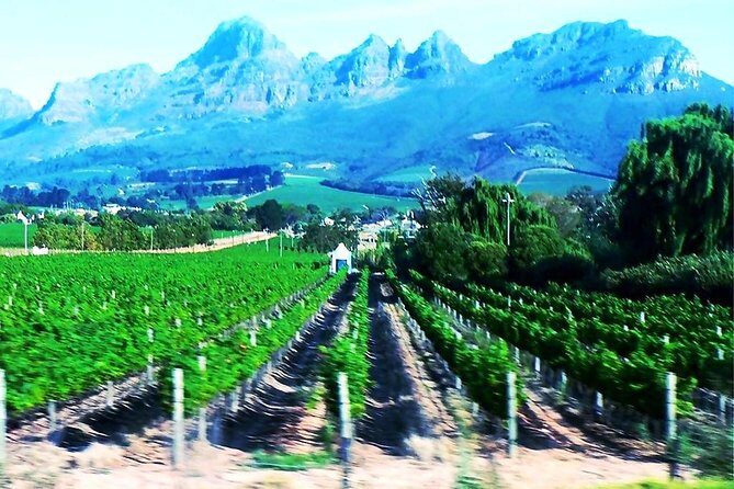 5 Days Johannesburg and Cape Town Tour - Best 5 Days Tour - The Sum Up