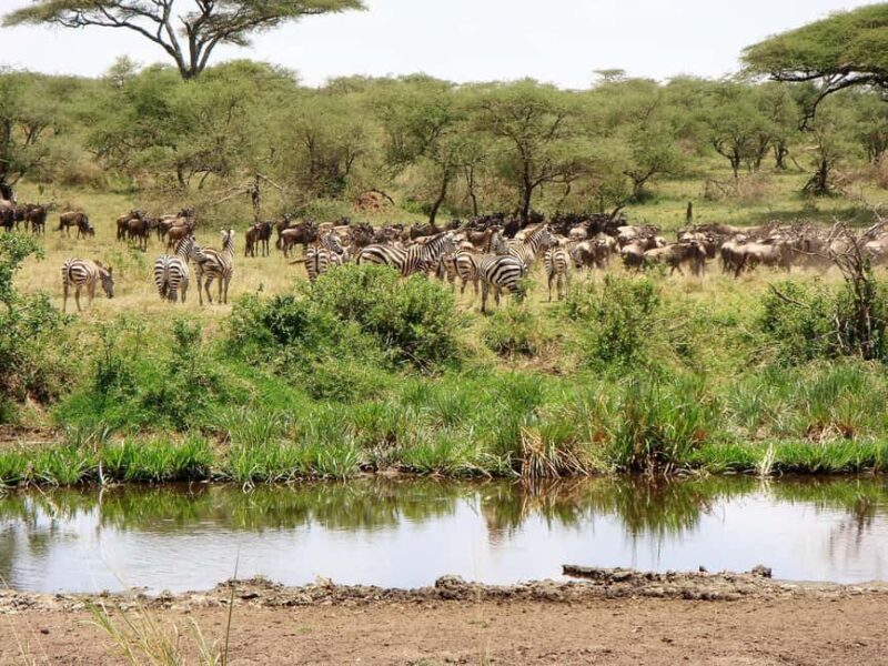 5 Days Join Group Big 5 Exploration - Who Will Love This Tour?