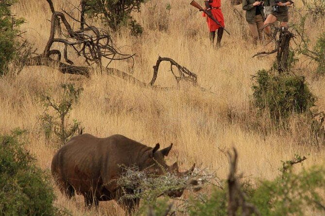 5 Days Kenya Masai Mara and Lake Nakuru Private Tour - The Sum Up: Is This Safari Right for You?