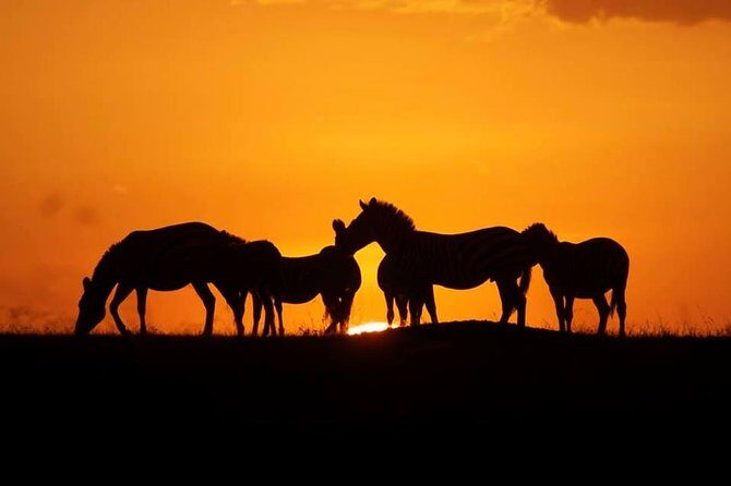 5 days Kenya Safari Expedition - Key Points