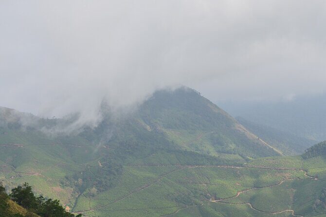 5 Days Kerala Tour with Private Car Houseboat Munnar and Thekkady - Exploring Kerala in Depth: A 5-Day Journey
