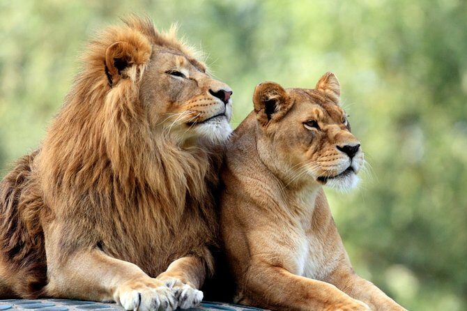 5 Days: Lake Manyara / Serengeti / Ngorongoro - Key Points
