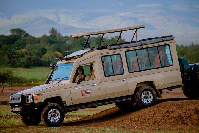 5 days Living Among Lions with Kojuu Safaris - Mid range Lodge - An In-Depth Look at the 5-Day Tanzania Safari with Kojuu Safaris