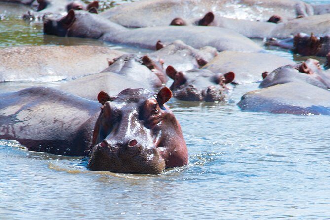 5 Days Lodge Safari. - Key Points