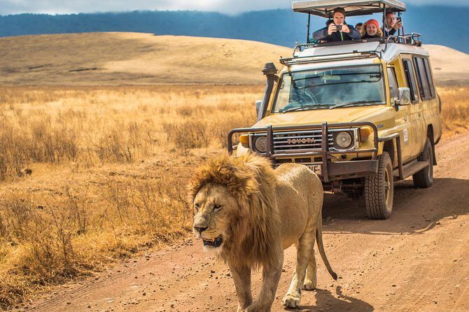 5 Days Lodge Safari - Lake Manyara, Serengeti, Ngorongoro, Tarangire. - The Sum Up: Who Is This Safari Best For?