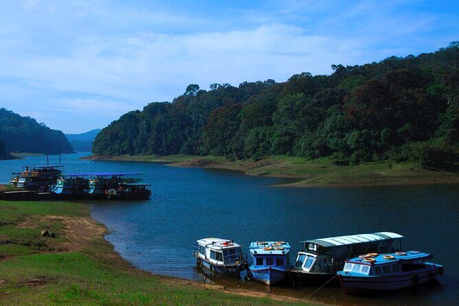 5 Days Luxury Kerala Tour with Houseboat Experience - An In-Depth Look at the 5-Day Kerala Tour