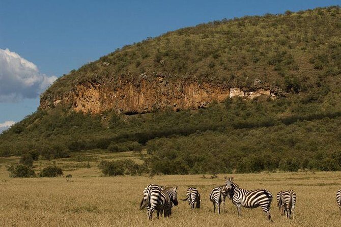 5 Days Maasai mara, Lake Nakuru, samburu private lodge safari - The Itinerary: A Detailed Look