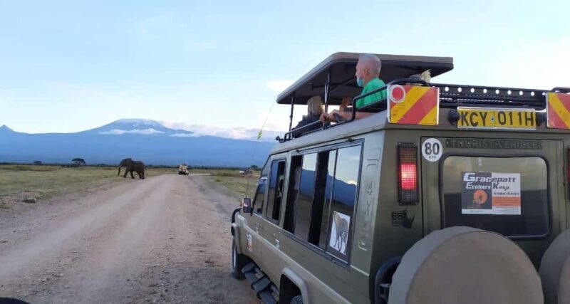 5 Days Magical Kenya Lodge Safari Kenya Wildlife Safari - What Makes This Tour Stand Out?