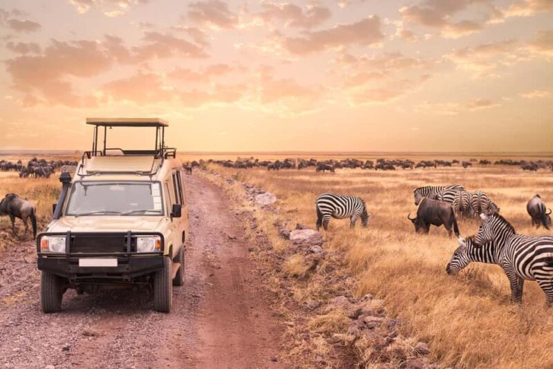 5 Days Magical Kenya Lodge Safari Kenya Wildlife Safari - Potential Drawbacks to Consider