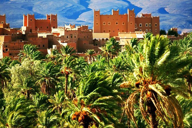 5 Days Marrakech & Desert Tour - The Sum Up — Who Is This Tour Best For?