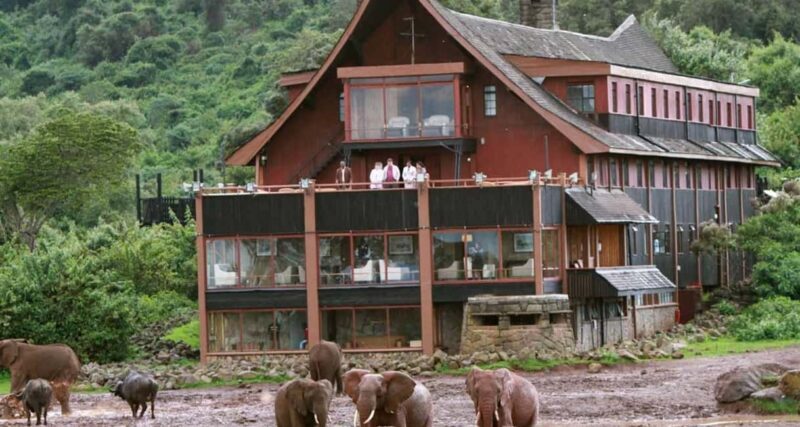 5 Days Masai Mara, Lake Nakuru and Aberdare Circuit Safari - Analyzing the Cost and Value
