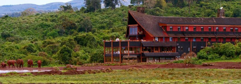 5 Days Masai Mara, Lake Nakuru and Aberdare Circuit Safari - Who Should Book This Tour?