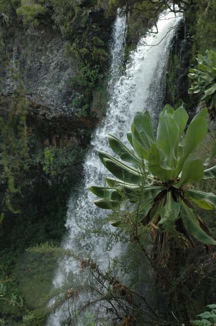 5 Days Masai Mara, Lake Nakuru and Aberdare Circuit Safari - The Sum Up