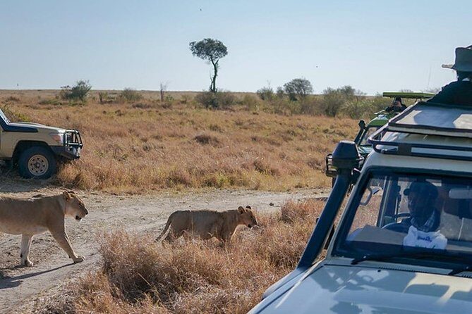 5-Days Masai Mara- Lake Nakuru - Lake Naivasha Kenya Safari Tour - Final Summary