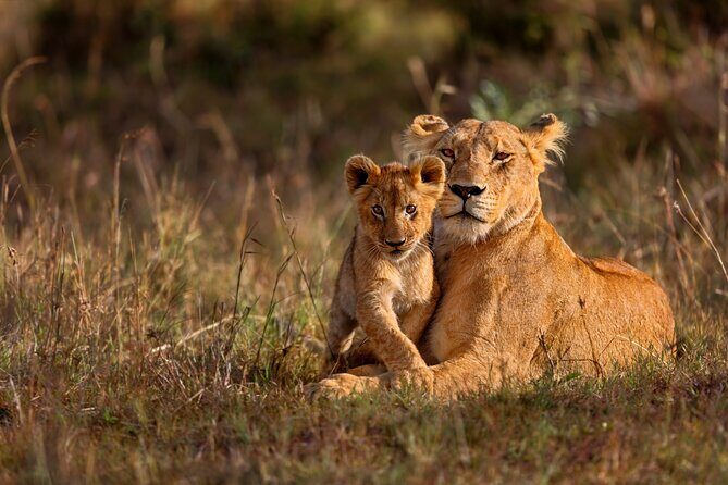 5 Days Masai Mara, Lake Nakuru & Naivasha Budget Joining Safari - FAQ