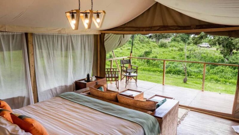 5-Days Midrange Safari - Tarangire, Serengeti, and Crater. - Final Thoughts: Is This Safari for You?