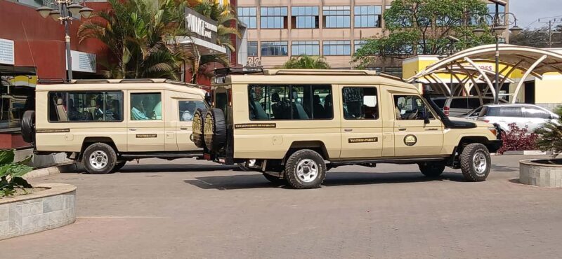 5 Days Migration, Tarangire, Serengeti and Ngorongoro - Transitioning to the Serengeti: The Heart of Migration