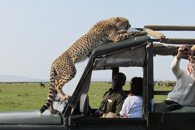5 Days Mombasa,Tsavo East, Taita Salt Lick, Tsavo West, Amboseli, - Analyzing the Itinerary: What to Expect