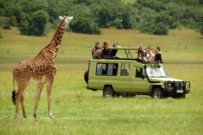 5 Days Mombasa,Tsavo East, Taita Salt Lick, Tsavo West, Amboseli, - The Sum Up