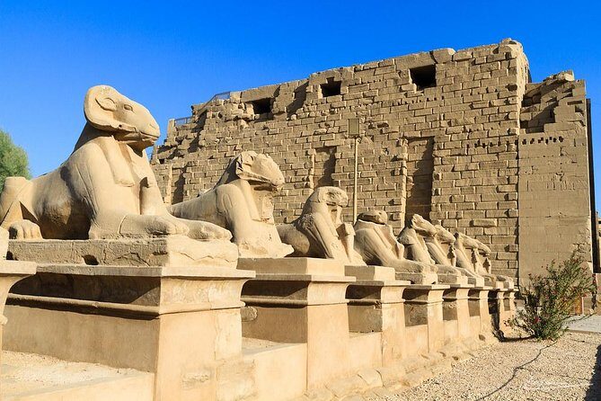 5 Days Nile cruise from Luxor to Aswan - What Travelers Say