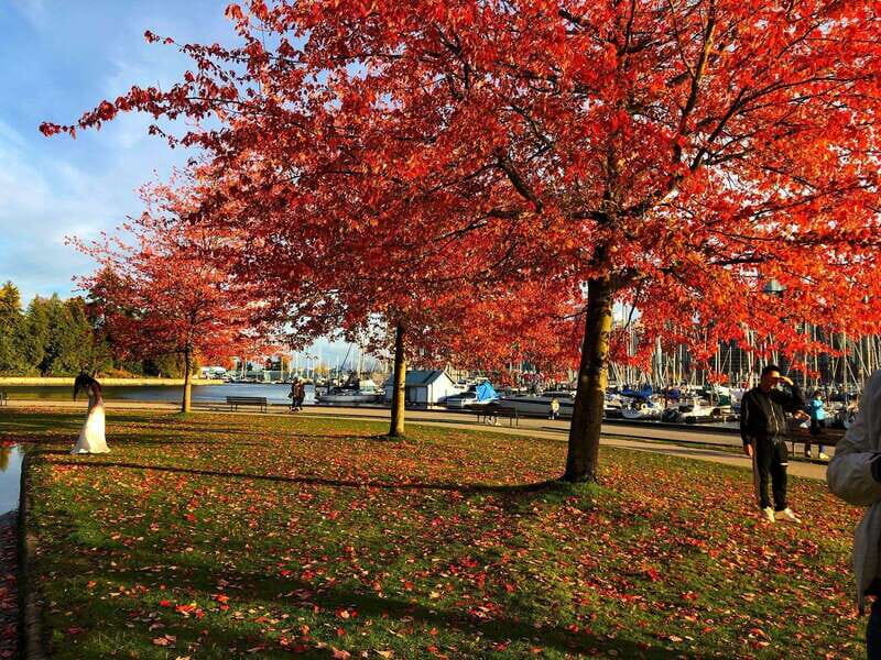 5 Days of Adventure in Vancouver Activities-Only Tour - Exploring Vancouver’s Natural Wonders
