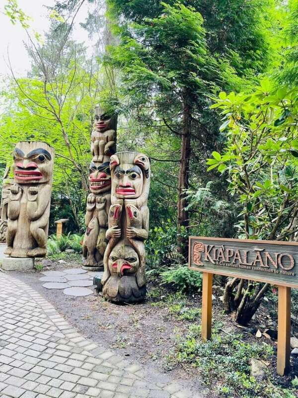 5 Days of Adventure in Vancouver Activities-Only Tour - Transportation and Group Dynamics
