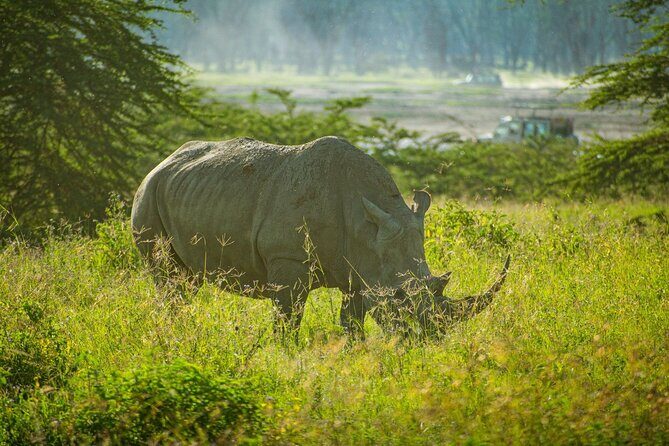 5 Days of Kenyan Magic: A Whirlwind Safari Adventure - Exploring Kenya in 5 Days: A Detailed Breakdown