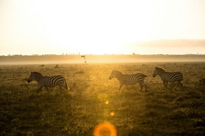 5 Days of Kenyan Magic: A Whirlwind Safari Adventure - Practicalities and Considerations