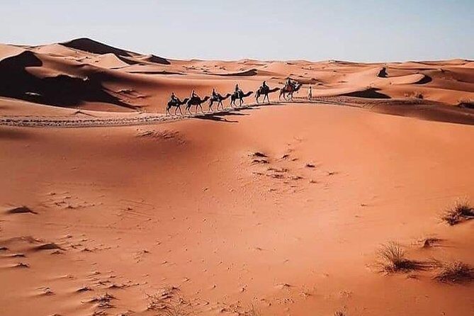 5 days of Marrakech - An In-Depth Look at the 5-Day Marrakech Desert Tour