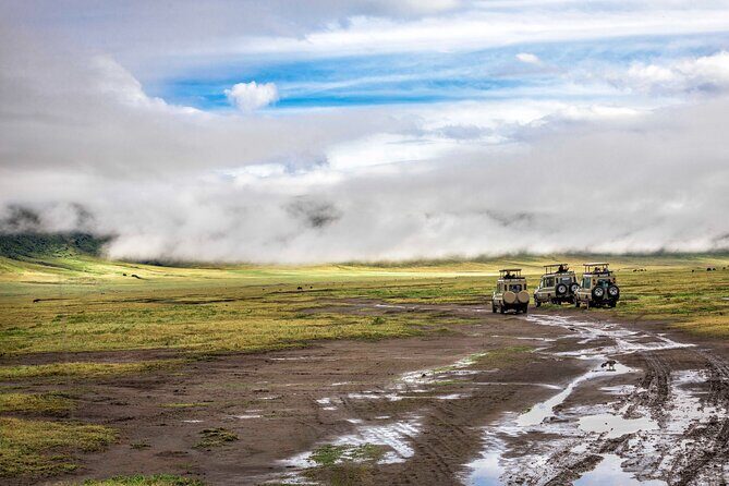 5 Days Private Budget Lodge Safari to Serengeti & Ngorongoro - What Makes This Tour Stand Out?