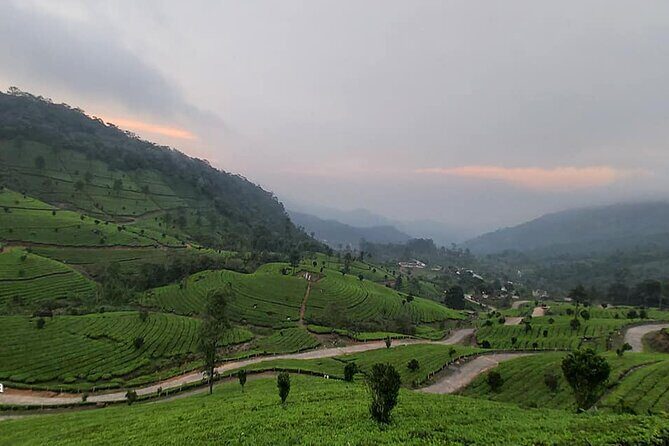 5 Days Private Kerala Tour with Houseboat by Sanguine Holidays - Day 2: Lakes, Dams, and Tea Gardens