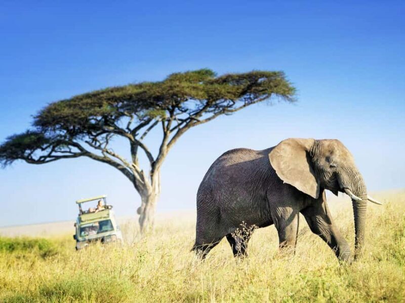 5 Days Private Midrange Safari-Serengeti & Ngorongoro - FAQ