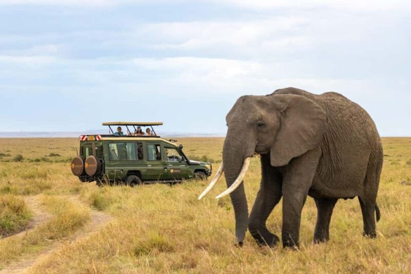 5 Days Private Midrange Safari-Serengeti & Ngorongoro - Final Thoughts