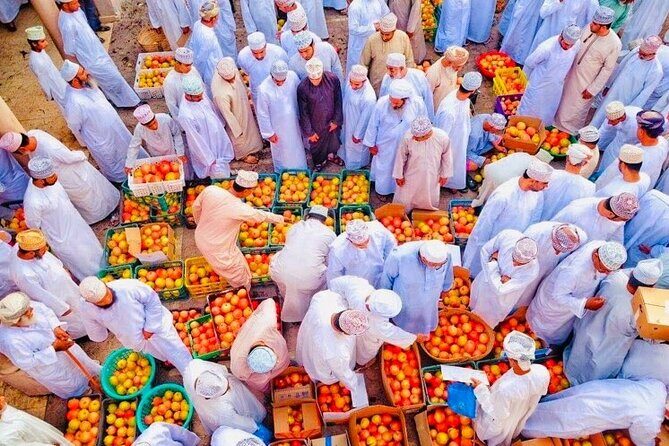 5-Days Private Oman Tour from Muscat - Introduction