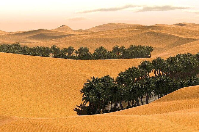 5-Days Private Oman Tour from Muscat - Key Points