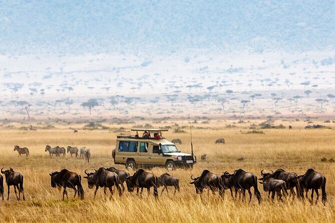 5-Days Private Safari Tour in Trangire, Serengeti, and Ngorongoro Crater - A Hands-On Look at a 5-Day Private Tanzania Safari