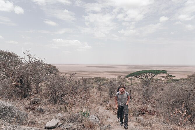 5-Days Private Safari Tour in Trangire, Serengeti, and Ngorongoro Crater - The Itinerary Breakdown: What You Can Expect