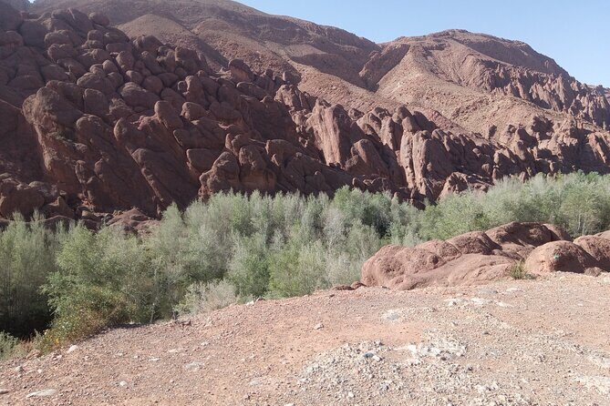 5 Days Private Tour from Casablanca to Fes and Sahara Desert - Final Thoughts