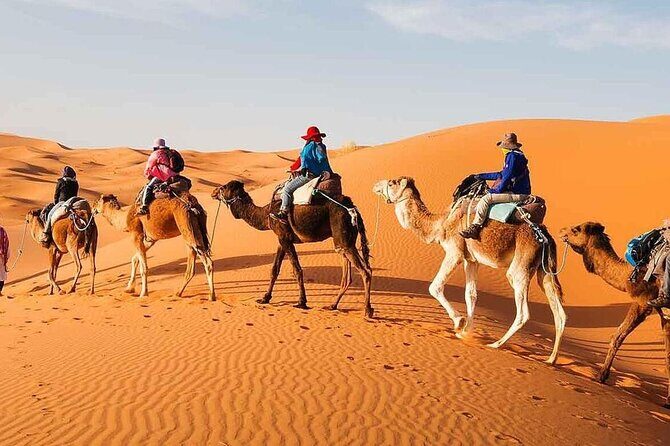 5 Days Private Tour from Fes to Marrakech via Merzouga Desert - Key Points