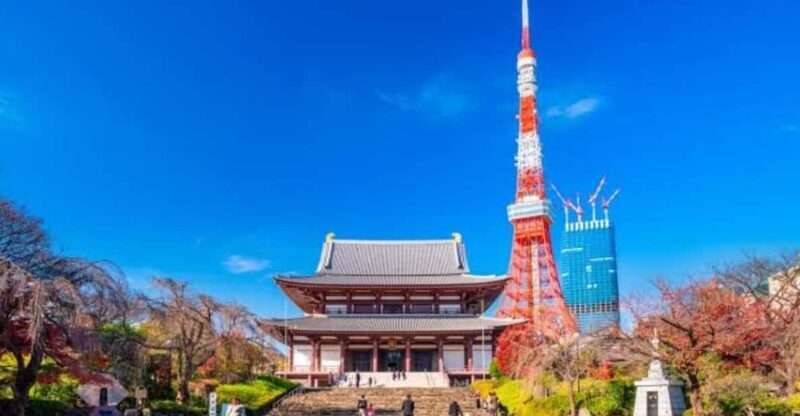 5-Days Private Tour Tokyo, Mt Fuji, Nikko, Hakone and Nagano - Who Will Benefit Most?