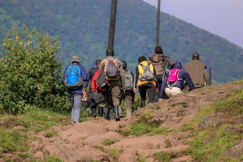5 Days Rwanda: Volcanoes, Lake Kivu, Nyungwe & Nyanza Tour - Key Points
