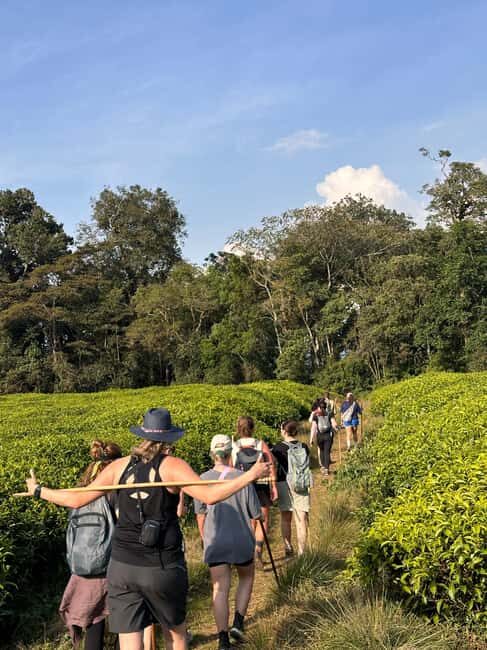 5 Days Rwanda: Volcanoes, Lake Kivu, Nyungwe & Nyanza Tour - Final Thoughts