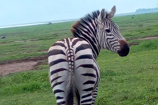 5 Days Safari from Dar es Salaam to Tarangire NP, Manyara NP & Ngorongoro Crater - Key Points