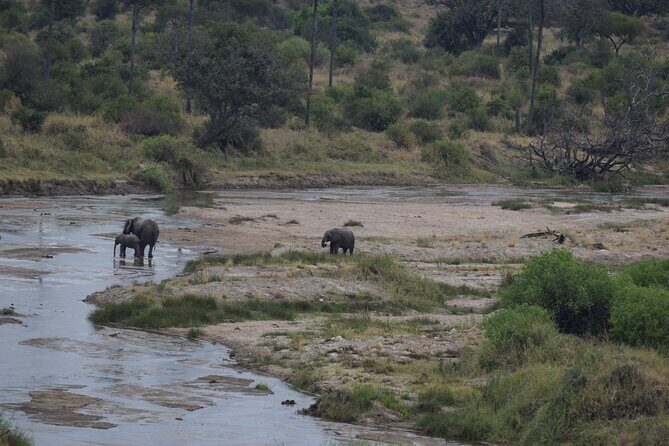 5 Days Safari Lodges & Culture - Exploring Tarangire National Park