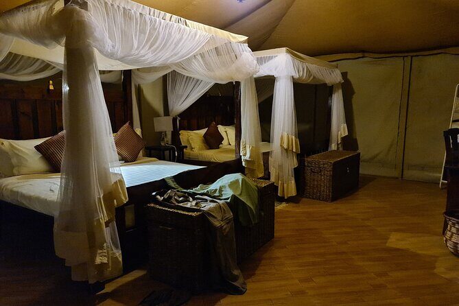 5 Days Safari Lodges & Culture - Experiencing the Serengeti’s Vastness