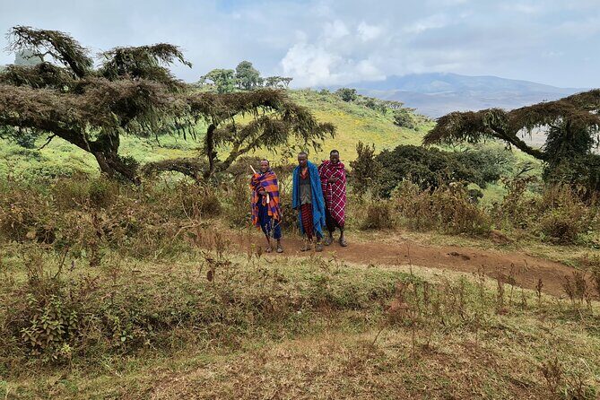 5 Days Safari Lodges & Culture - Ngorongoro Crater: The Animal Paradise